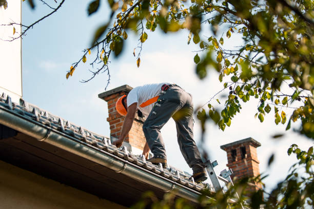 Best Storm Damage Roof Repair  in West Point, MS