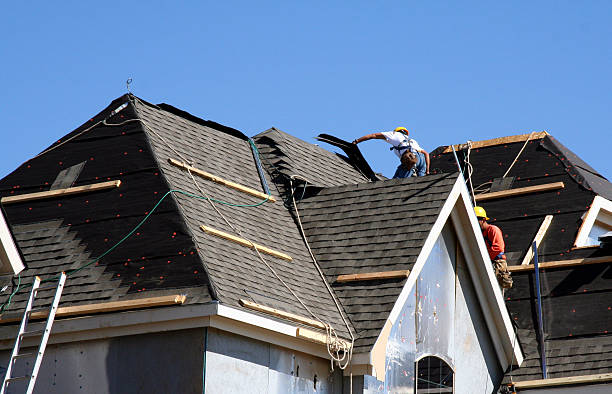 Best Roof Gutter Cleaning  in West Point, MS