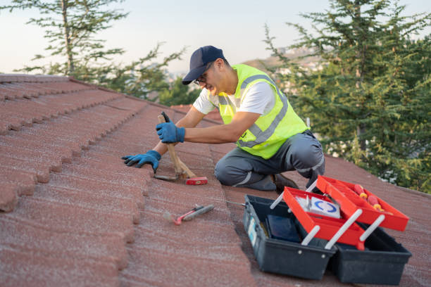 Best Gutter Installation and Roofing  in West Point, MS