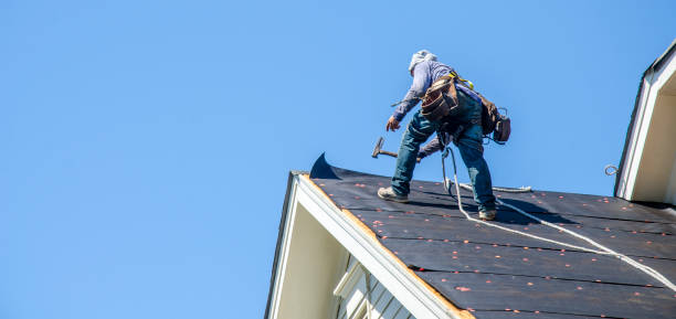Best New Roof Installation  in West Point, MS